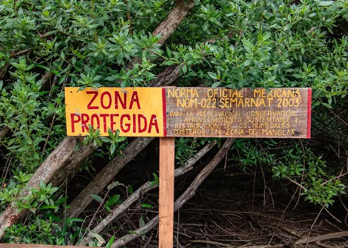 Posada Corazon Mazunte