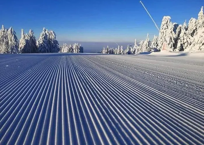Ski Hotel Dobrodolac