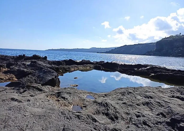 Nido sul mare