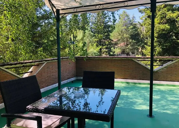 LH Albergo Il Picchio