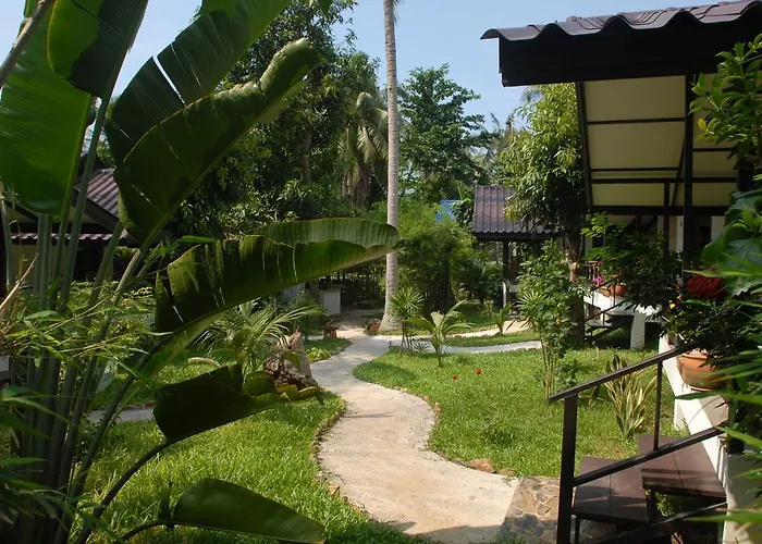 Lucky Gecko Garden