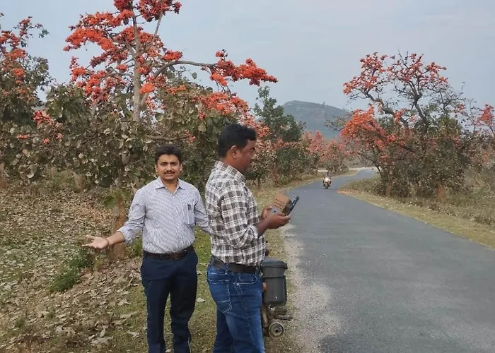 Palash Pahar Resort