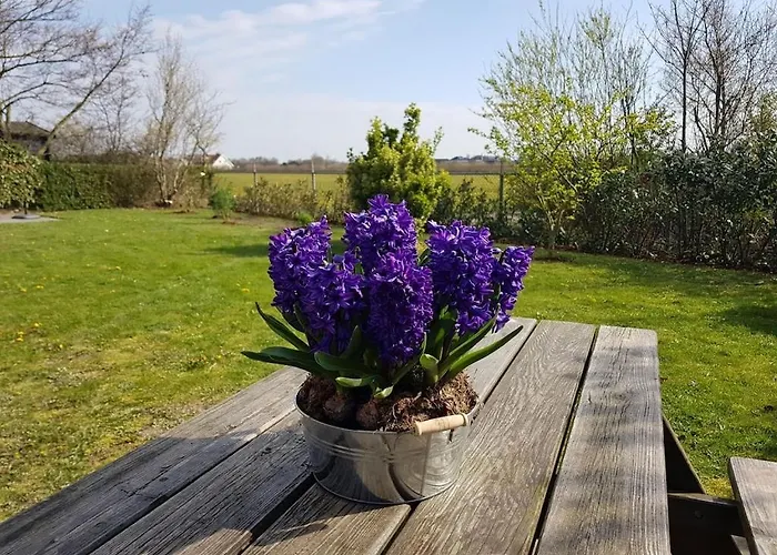 Vakantiehuis met afgesloten tuin, dichtbij het strand