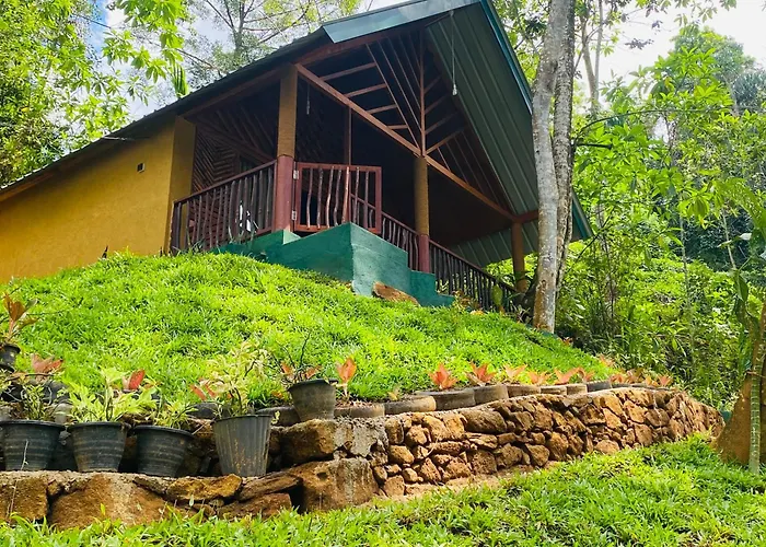 The Rainforest Hideaway