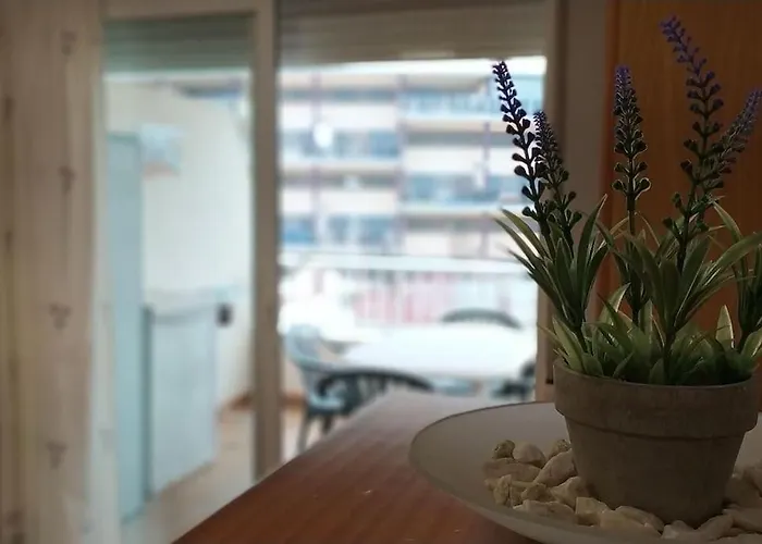 Acogedor apartamento en la playa de Canet