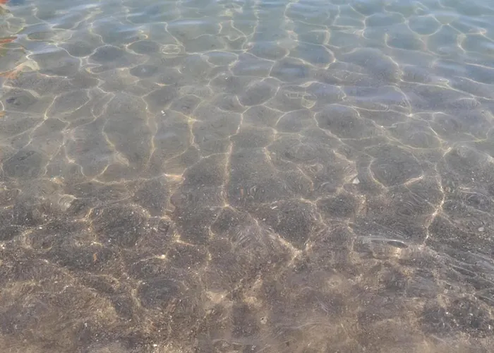 La magia del mare