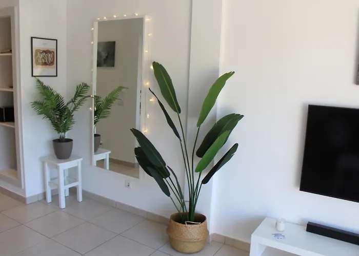 Pachi Beach Atlantic Garden Corralejo