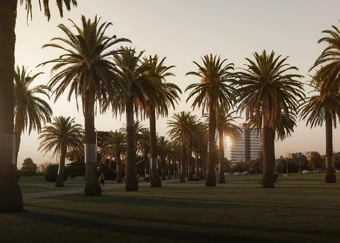 Mac St Kilda Blessington St By Melbourne Apartment Collection
