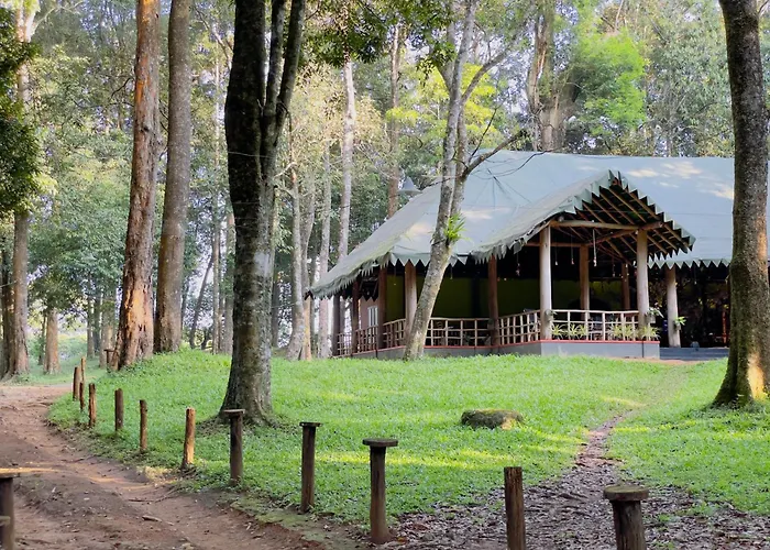 900 Woods Wayanad Eco Resort - A Sprawling Jungle Stay Near Glass Bridge