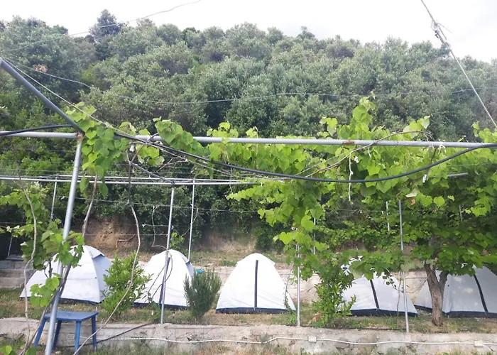 Camping Jungle In Borsh