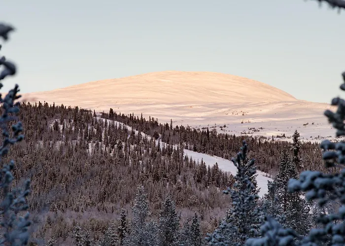 Valadalens Fjaellstation