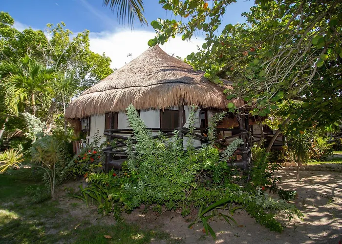Blue Holbox