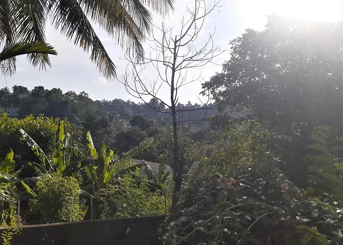 Kandy Mountain Cottage