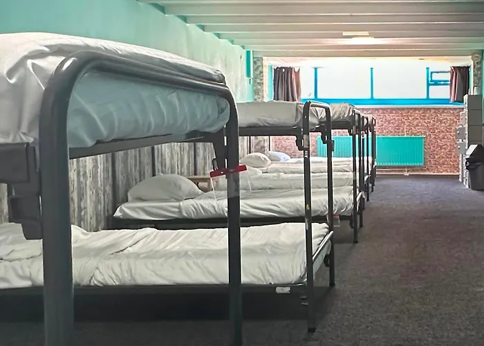 The Flying Pig Beach Hostel Age 18 To 40