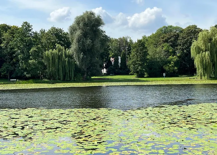 Dedek Park - Historyczny Dworek W Pieknym Parku Skaryszewskim Obok Stadionu Narodowego