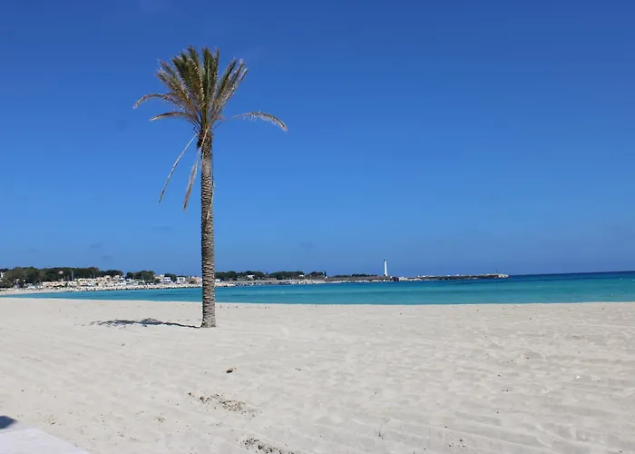 Coral Sand Bed And Breakfast