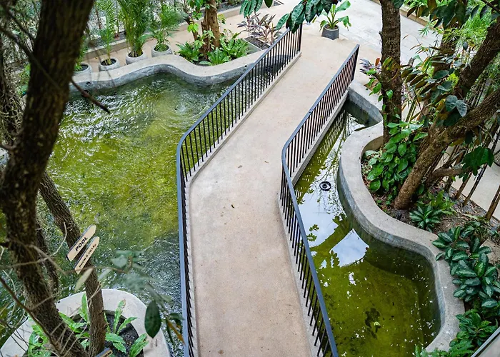 Rainforest Hotel By Nsun
