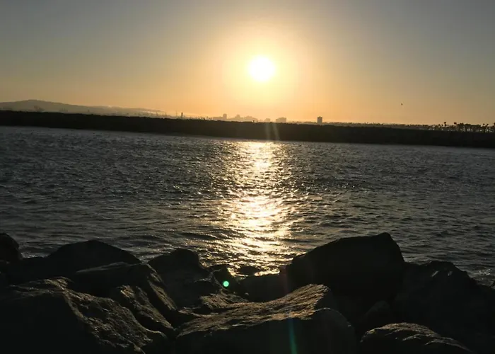 "California Dreamin'