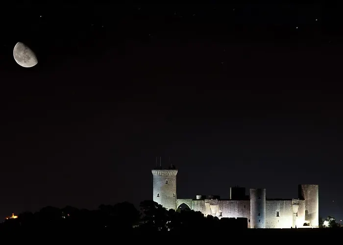 Palma - 2702-63 Mallorca -Miquel Santandreu 40-