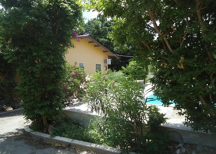 Happy Turtle Apartments