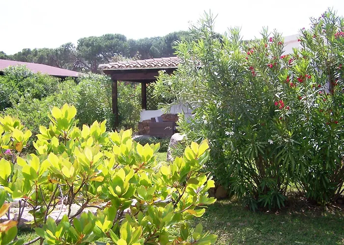 Hotel Club Ragno D'oro