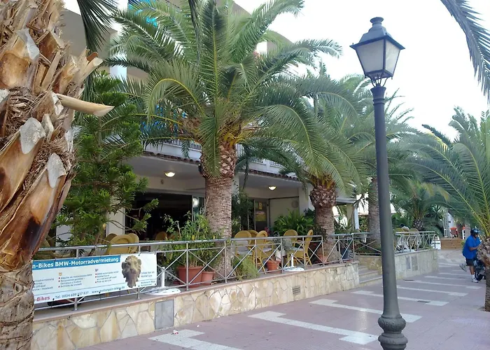 Hostal Leo D'Or