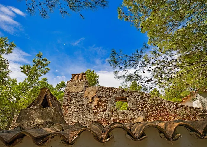torre casciani
