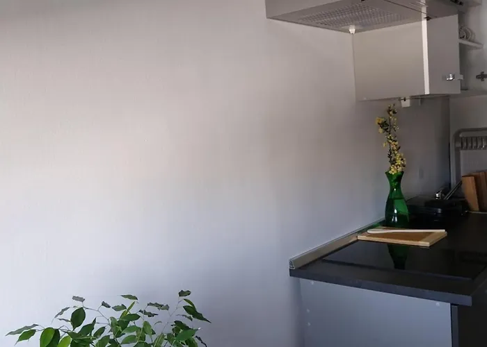 Studio M