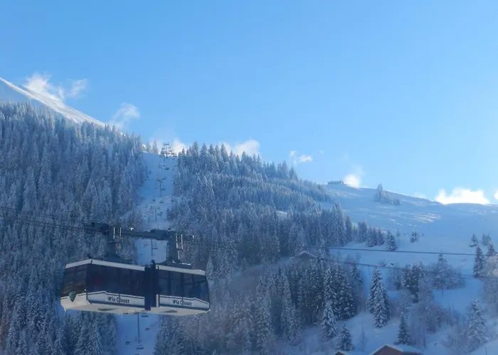 Chalet-Hotel Du Borderan