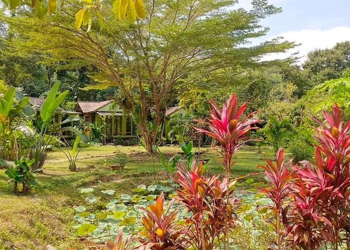 Baan Bua Cottage