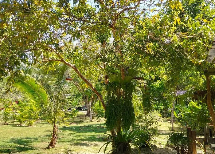 Baan Bua Cottage