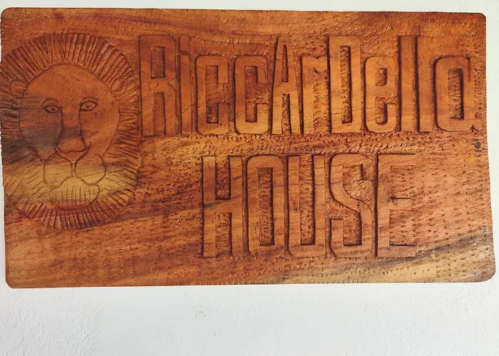 RiccArDella House Rafiki Tamu
