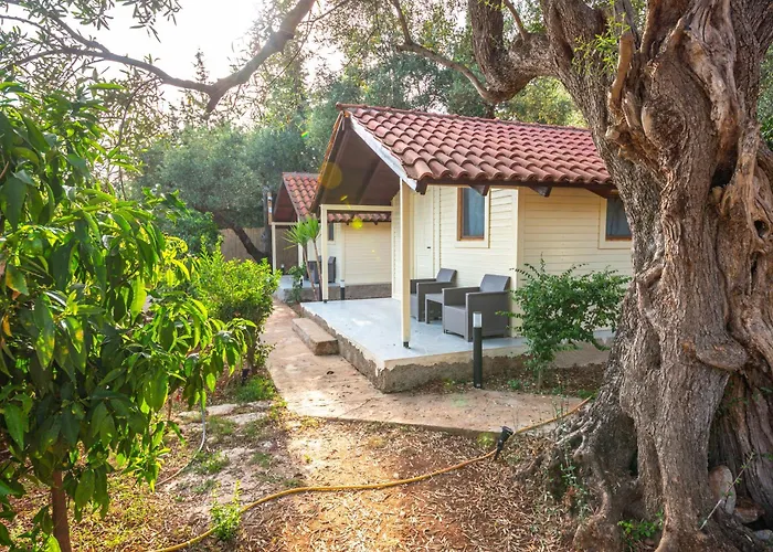 Lodges Shen Nikolla
