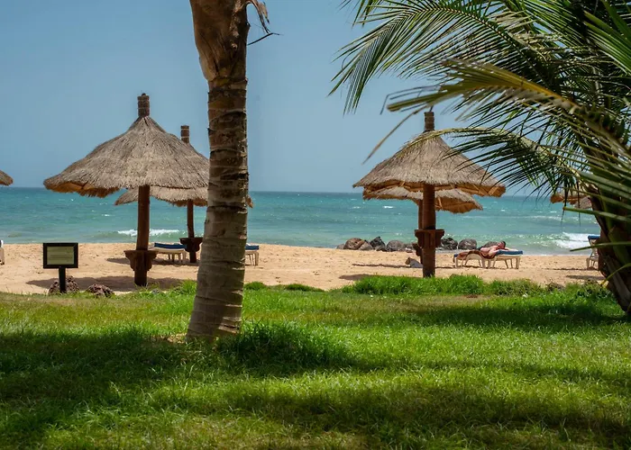 Royal Horizon Baobab