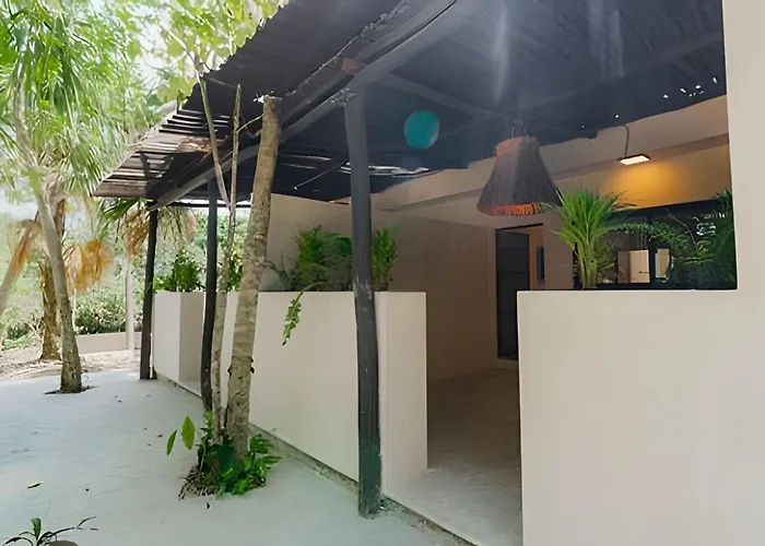 Nomadas- Estudios Bacalar