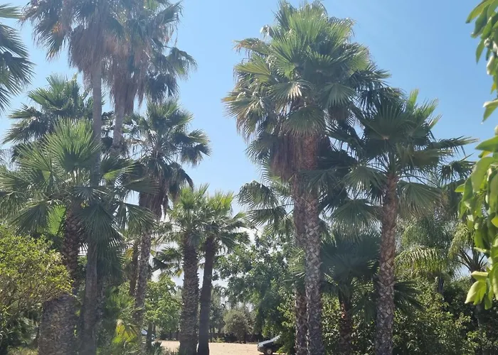 Villa Bismarkia