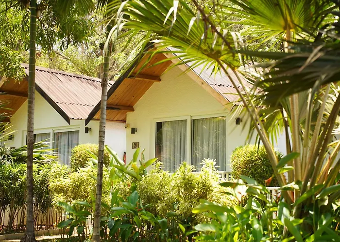 White Wood Resort By Stone Wood Hotels