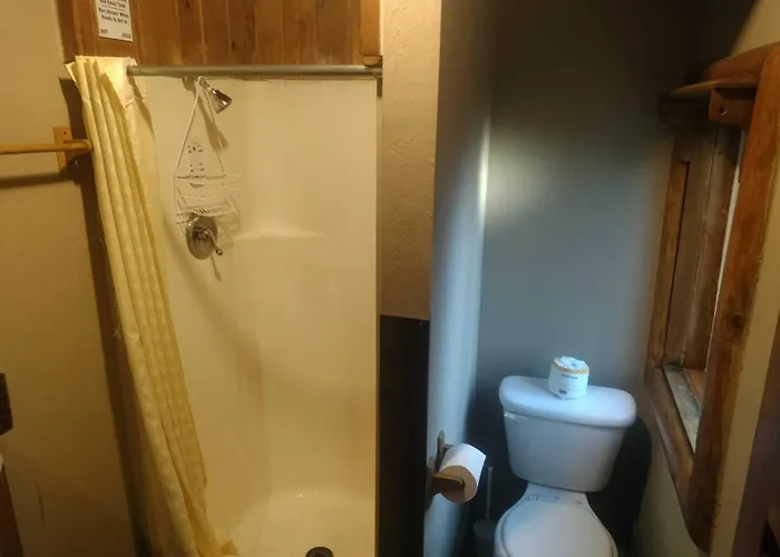 Big Bear Lake - Tulip Lane Cabin #25