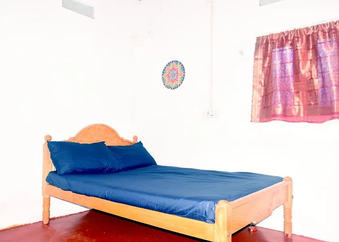 Nimal'S White House