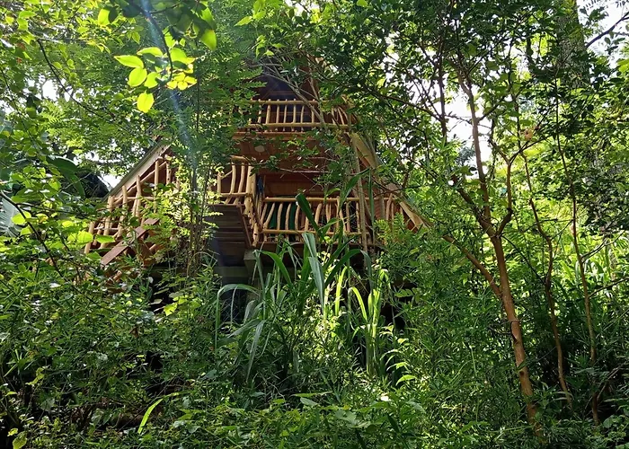 Eco Village