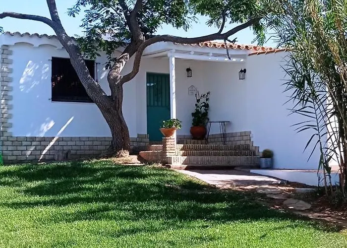 La Luciérnaga