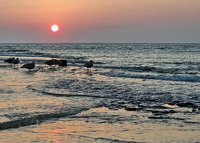 Zanddijk 113, Julianadorp Aan Zee