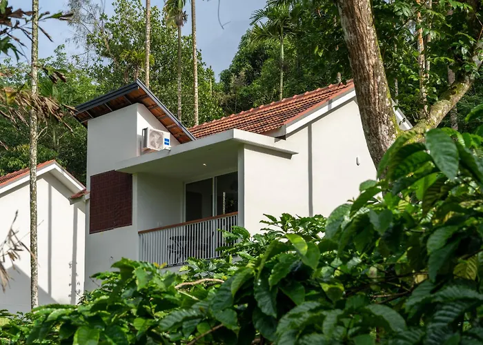 Theyila Wayanad Premium Pool Resort