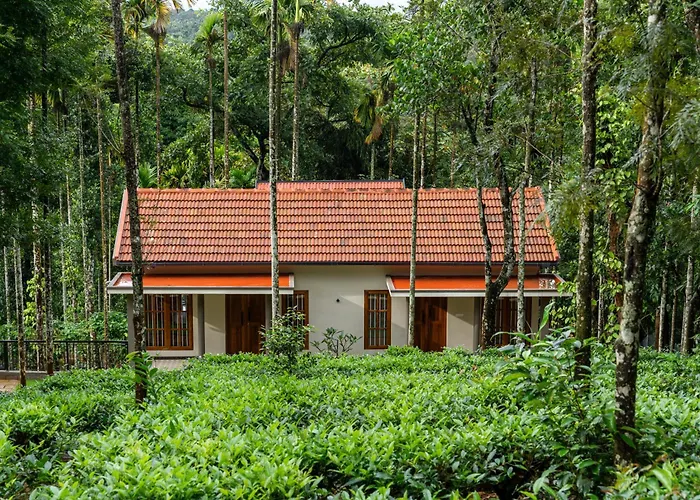 Theyila Wayanad Premium Pool Resort