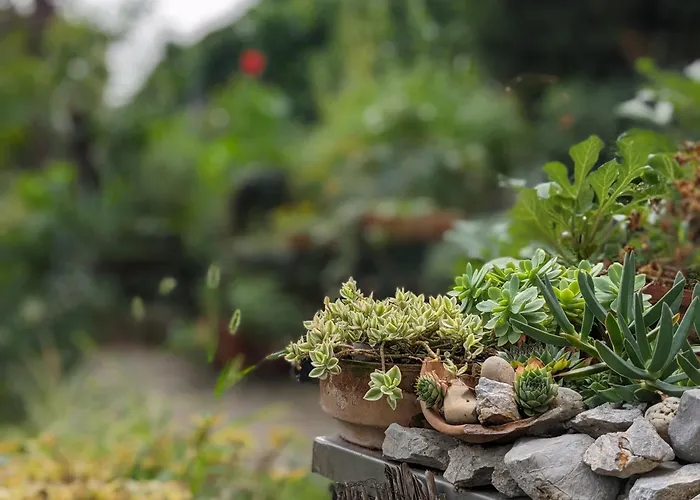 Apartment Sea Garden