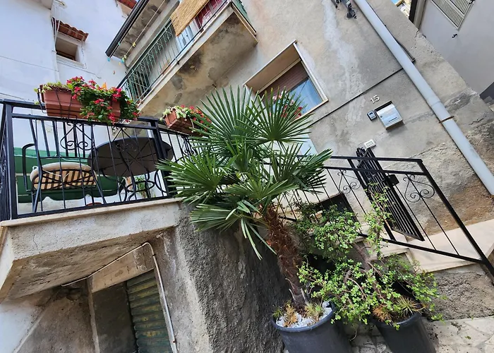 Casa Palmare
