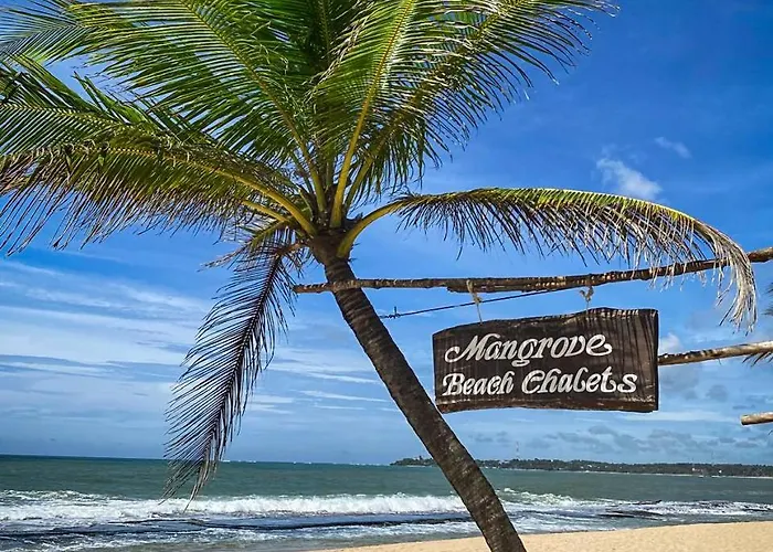 Mangrove Beach Chalets