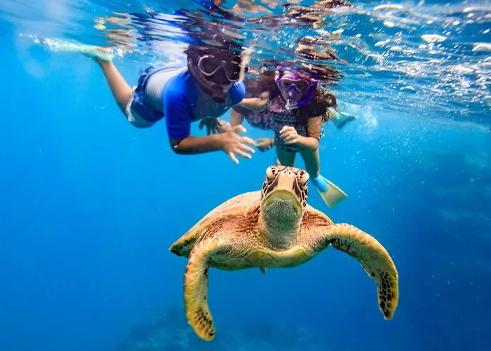 The Rarotongan Beach Resort & Lagoonarium