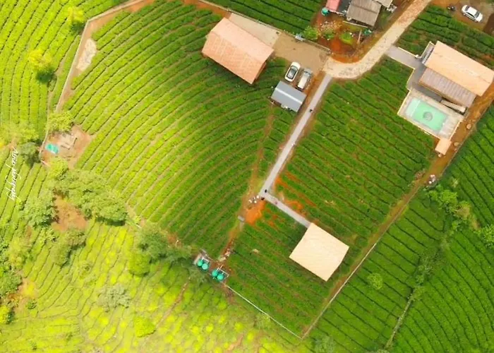 Cloud Canopy - Tea Garden Family Pool Cottage In Vagamon