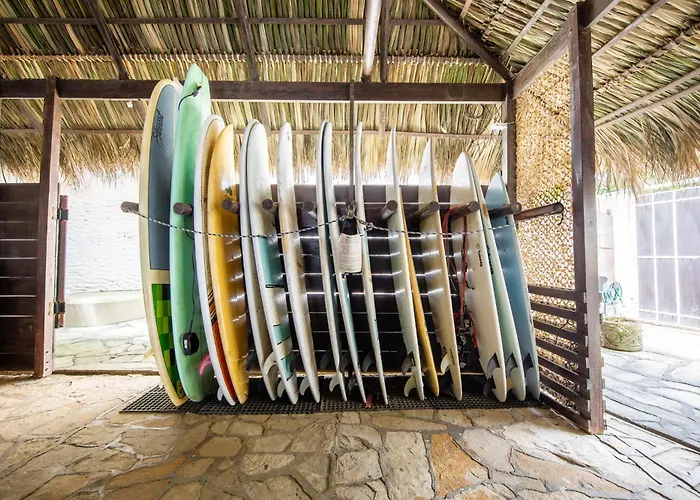 Buena Vista Surf Club